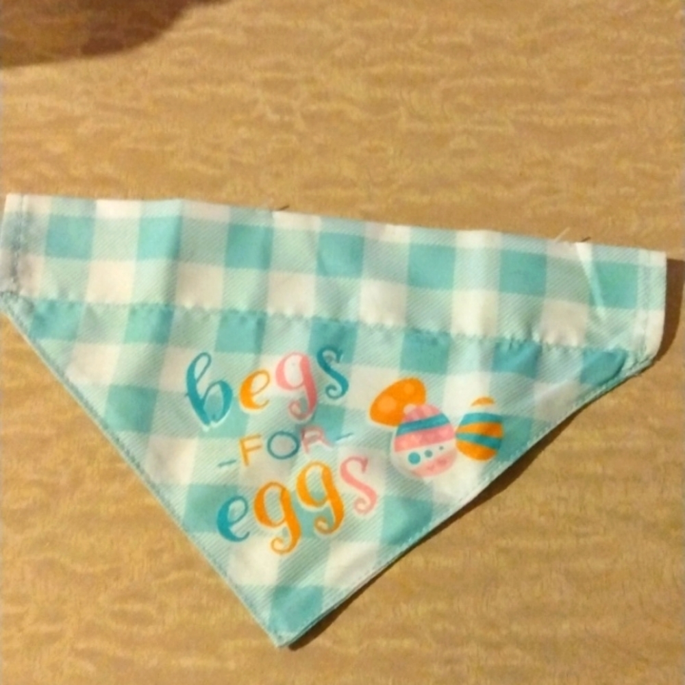 dog bandana